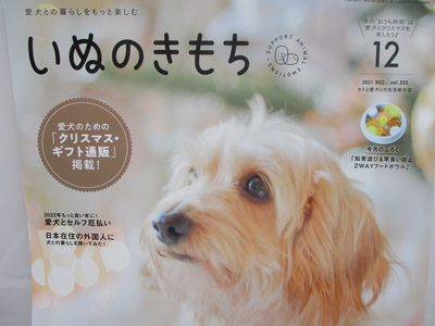 いぬのきもち12月号に院長監修の犬のがん特集が掲載されました