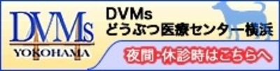 夜間診療のお知らせ　DVMｓ救急診療センター診療時間変更