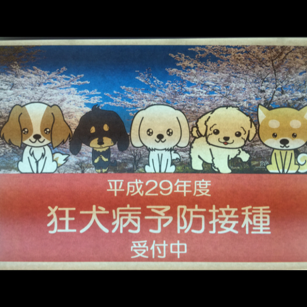 平成29年度 狂犬病予防接種の受付を開始しました　　　　　　　　青葉区　レオどうぶつ病院