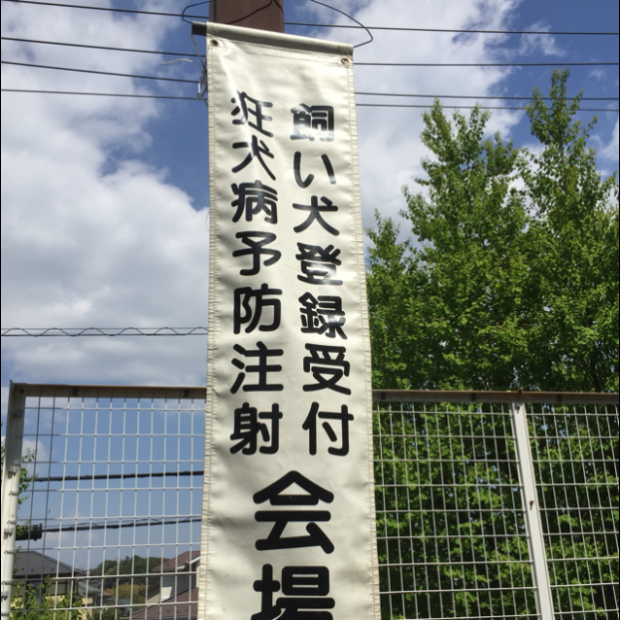 狂犬病予防集合注射に行ってきました　　　　　　　　　　　　　　レオどうぶつ病院　青葉区　若草台　たちばな台　鴨志田町