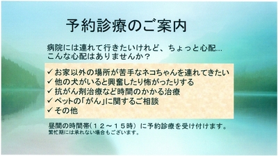 予約診療のご案内　　　レオどうぶつ病院　青葉区　　　　　　　　若草台　鴨志田町　桂台　たちばな台　桜台