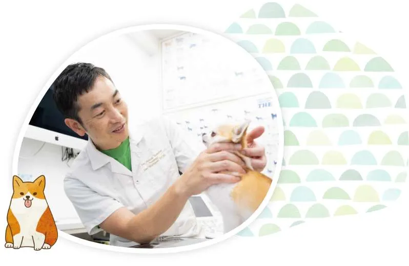 病気の説明はより丁寧にわかりやすく