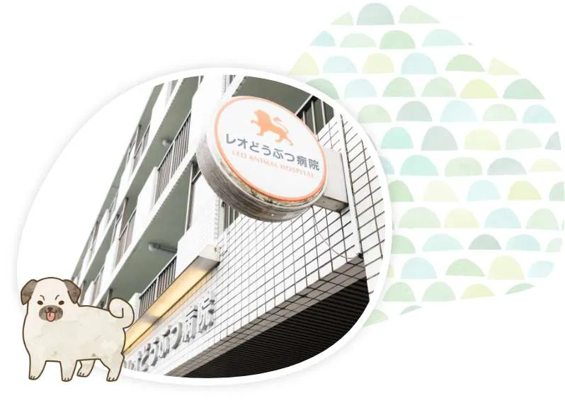 当院の治療を基本により高度な専門病院も紹介します