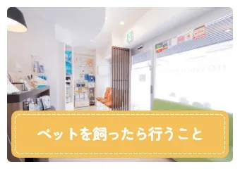 ペットを飼ったら行うこと