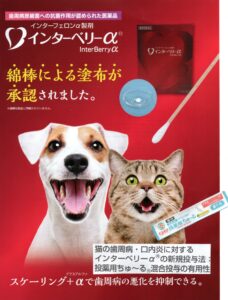 歯周病の薬「インターベリーα」の新しい投与法