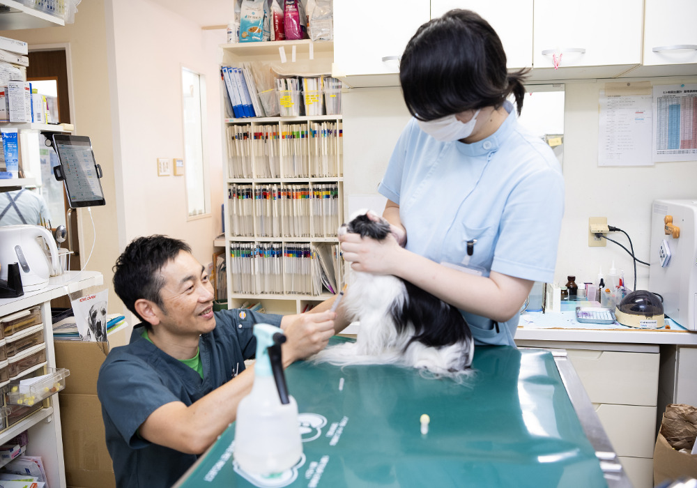 注射の針をみせないように針をさします。