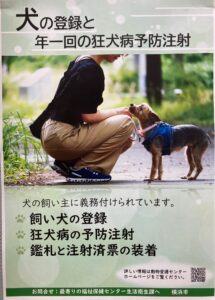 令和７年度狂犬病予防接種が始まります