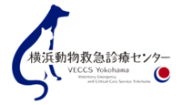 VECCS Yokohama